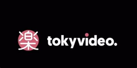 descargar videos de tokyvideo